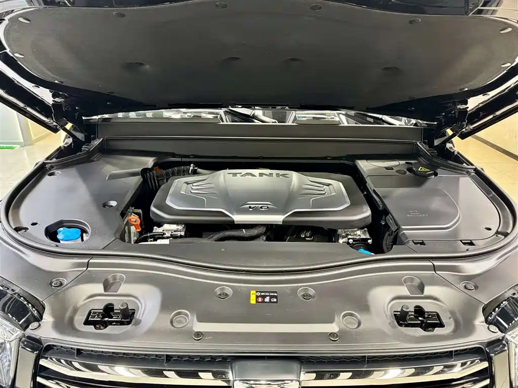 Tank 700 New Energy 2024 Hi4-T Extreme Edition фото 11