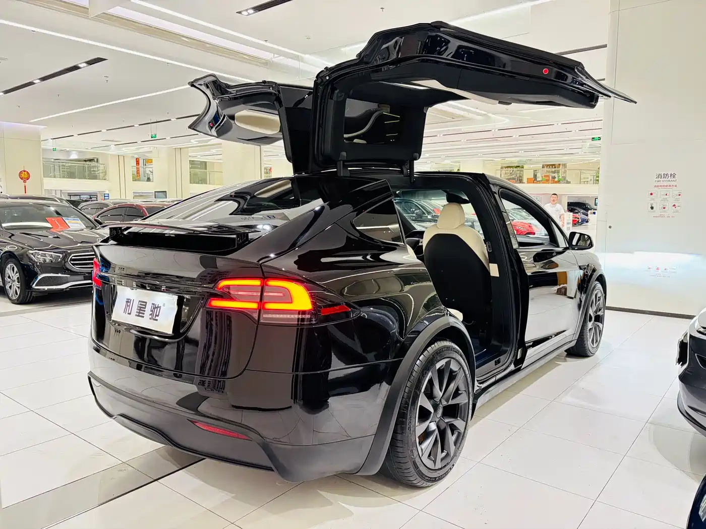 TESLA MODEL X