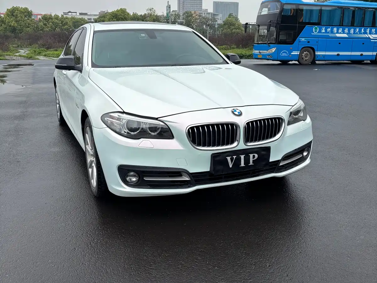 BMW 5 Series 2013 530Li Leadership фото 3