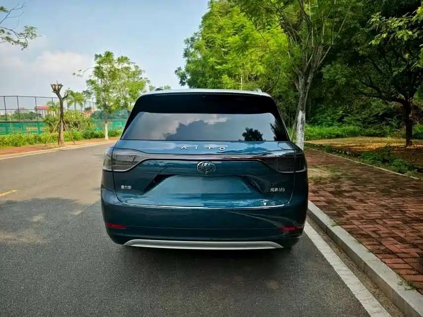 AITO Wenjie AITO M9 2024 Extended Range Ultra 42kWh 6-Seater фото 8