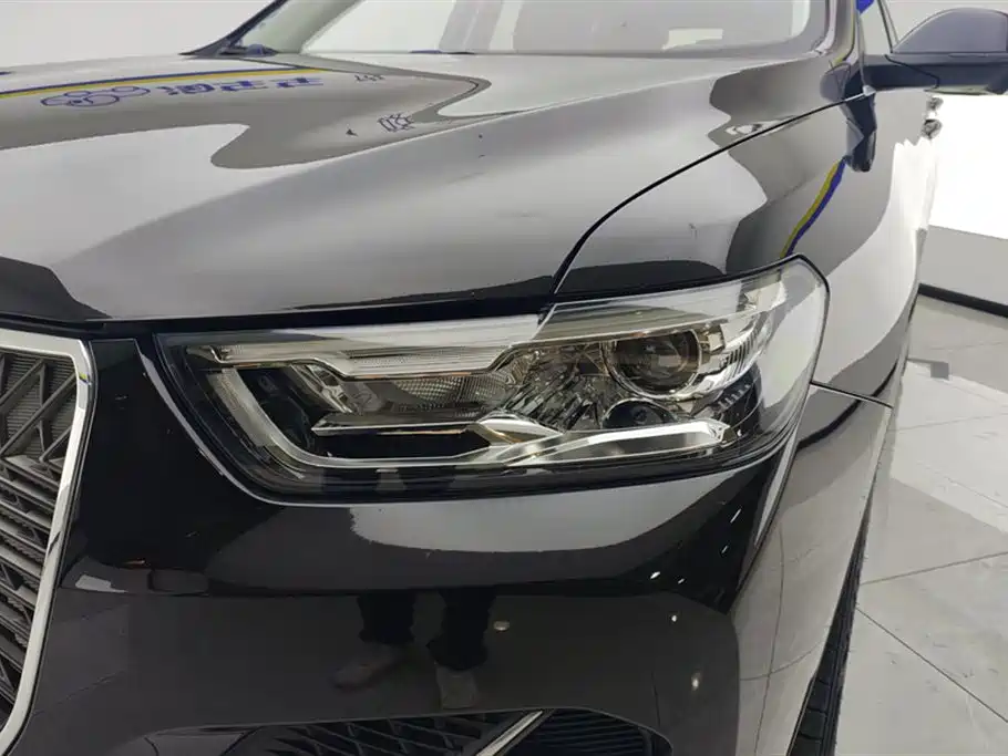 Haval H6 2021 1.5GDIT Automatic Luxury Edition фото 5
