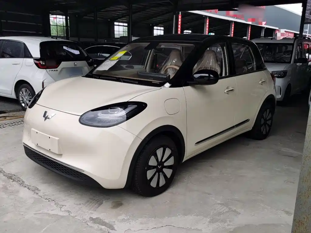 Wuling Motors Wuling Bingo 2026 2025 Model 333km Joy Edition