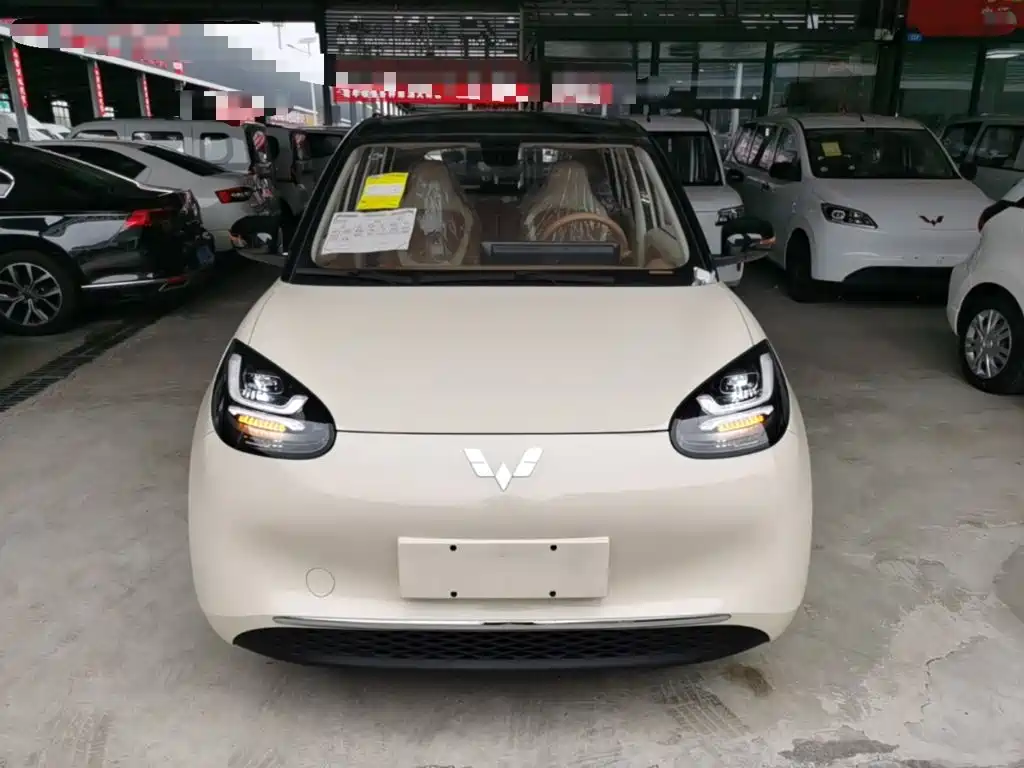 Wuling Motors Wuling Bingo 2026 2025 Model 333km Joy Edition