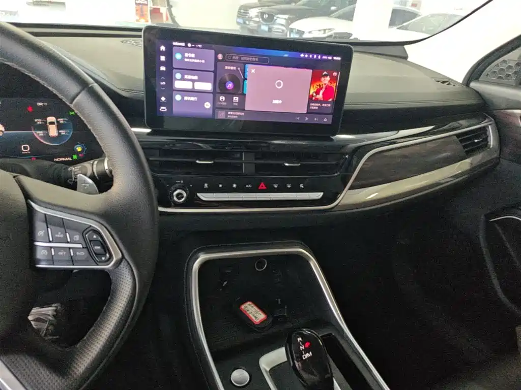 Haval H6 2023 National Trend Edition 1.5T Automatic Champion фото 13