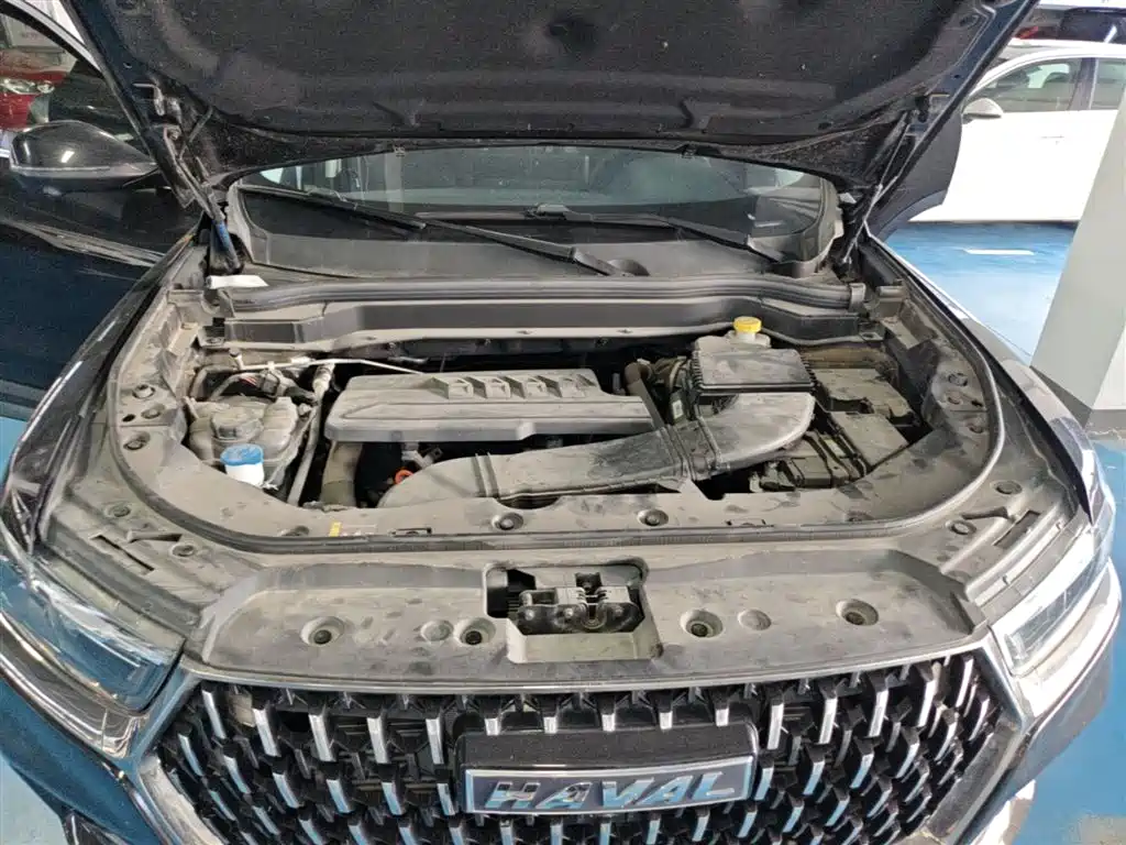 Haval H6 2023 National Trend Edition 1.5T Automatic Champion фото 20