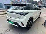 Фото 8 - BYD Dolphin