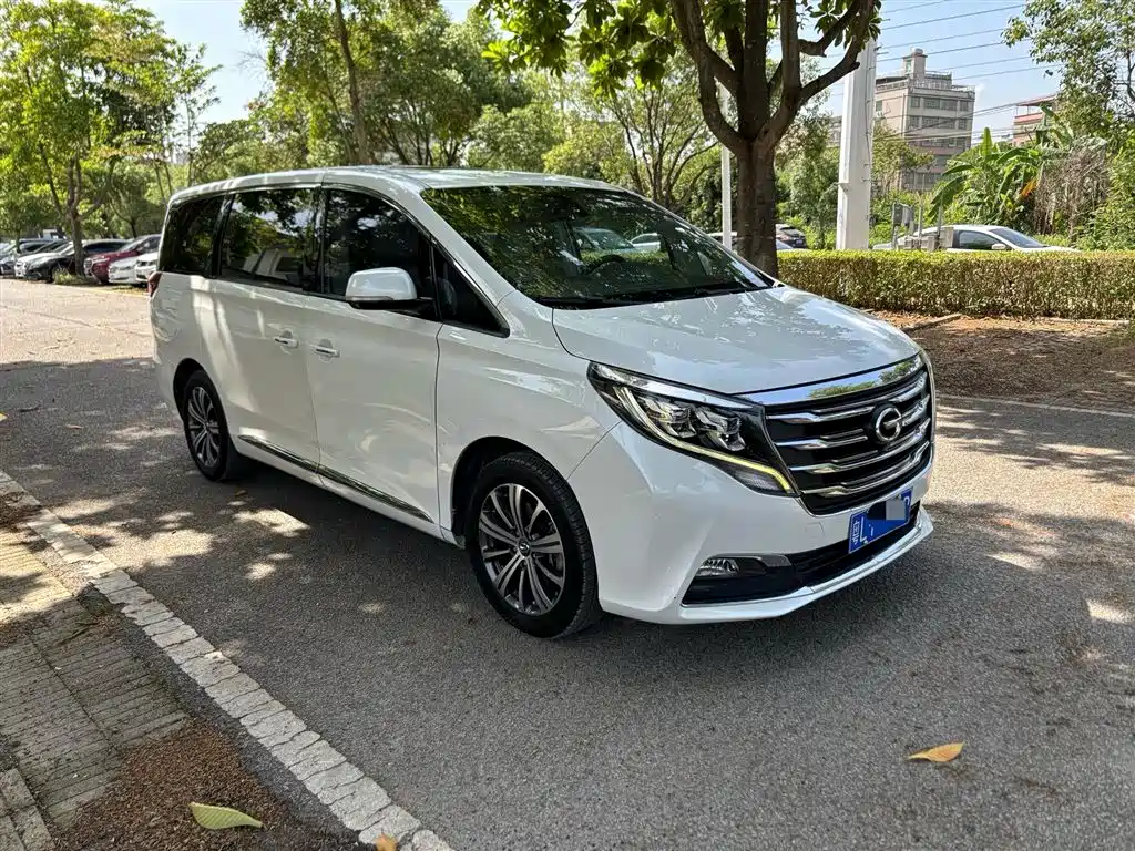 GAC Trumpchi Trumpchi M8 2018 320T Premium Edition фото 3
