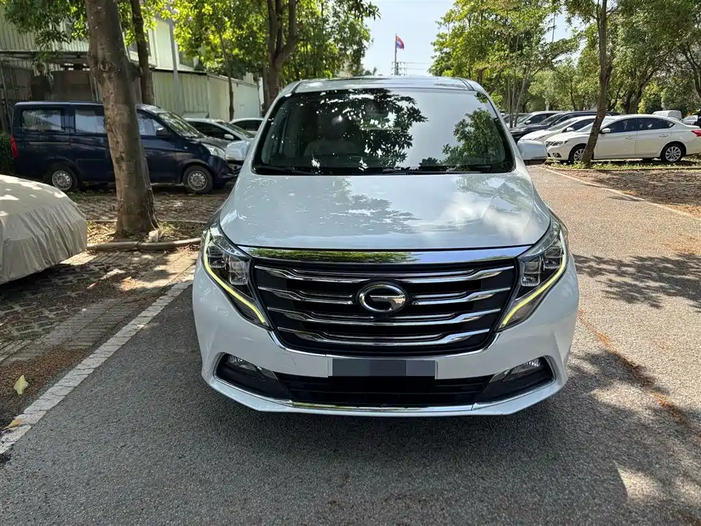GAC Trumpchi Trumpchi M8 2018 320T Premium Edition фото 2