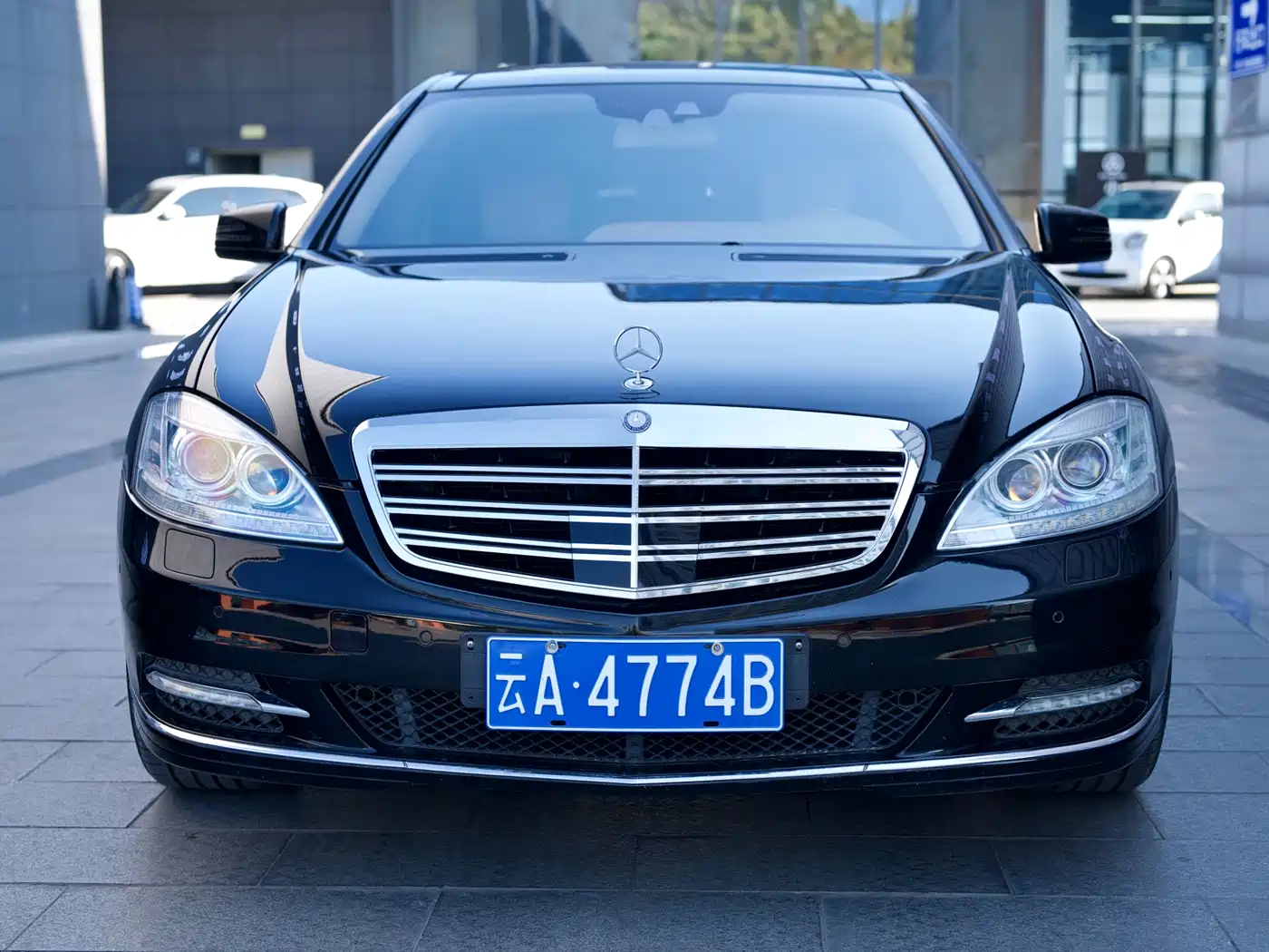 Mercedes-Benz S-Class 2010 S 600 L фото 2