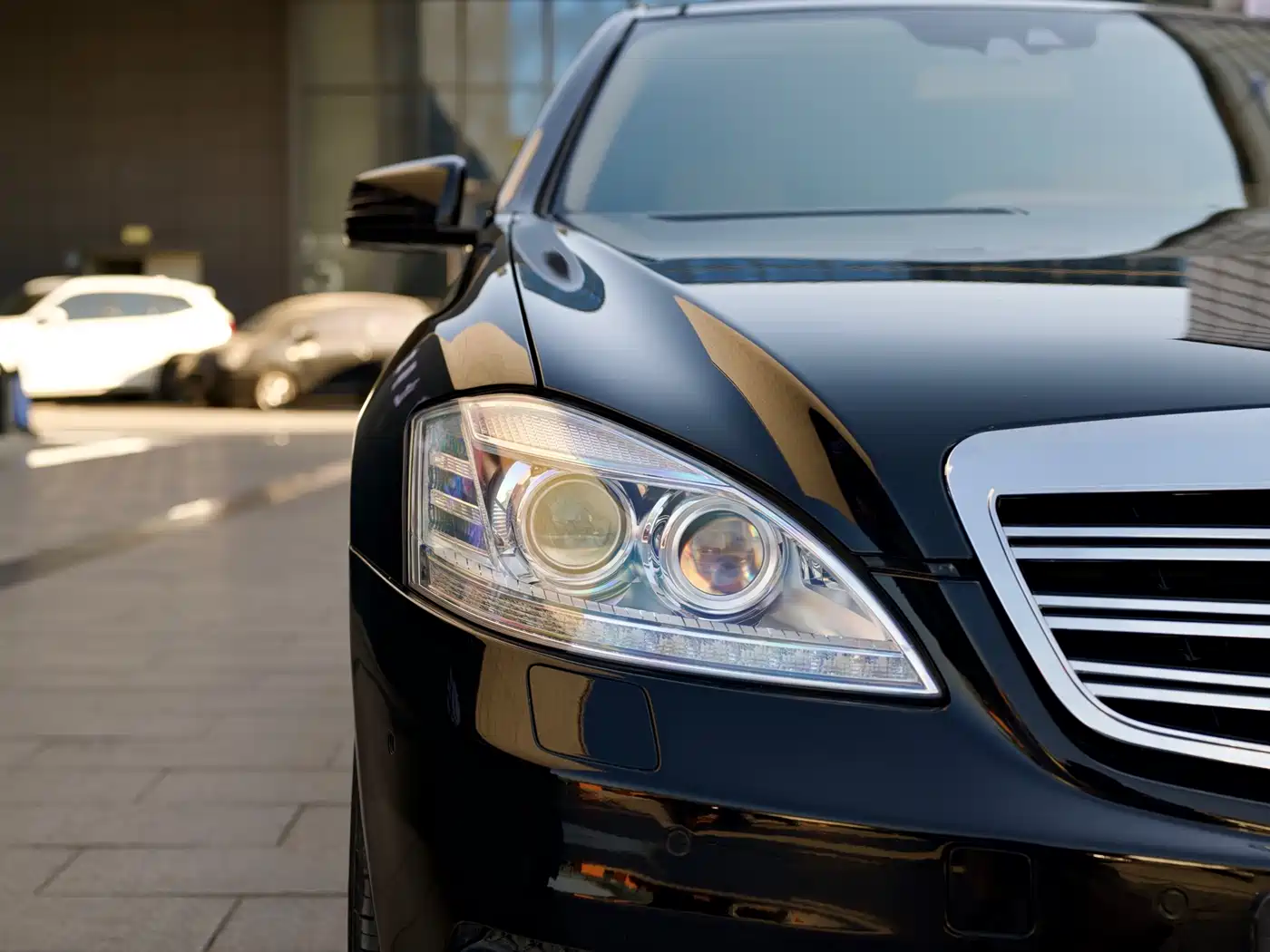 Mercedes-Benz S-Class 2010 S 600 L фото 21