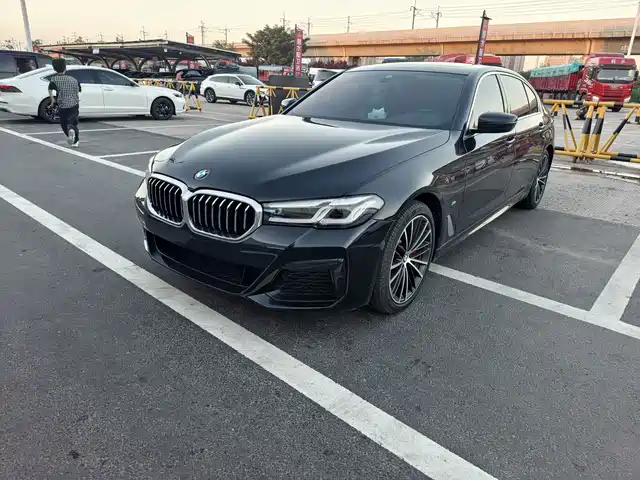 BMW 5 530Li, Лидер, M Спорт-пакет