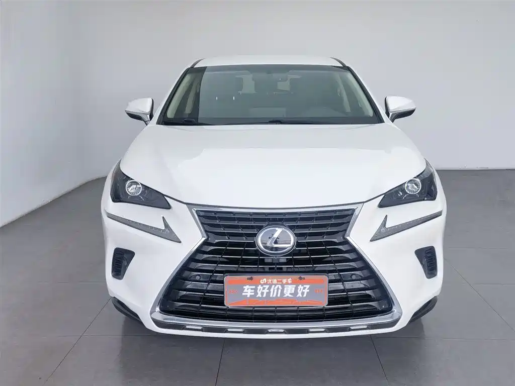 Lexus NX 2018 Model 300 FWD Fengxing Edition фото 3