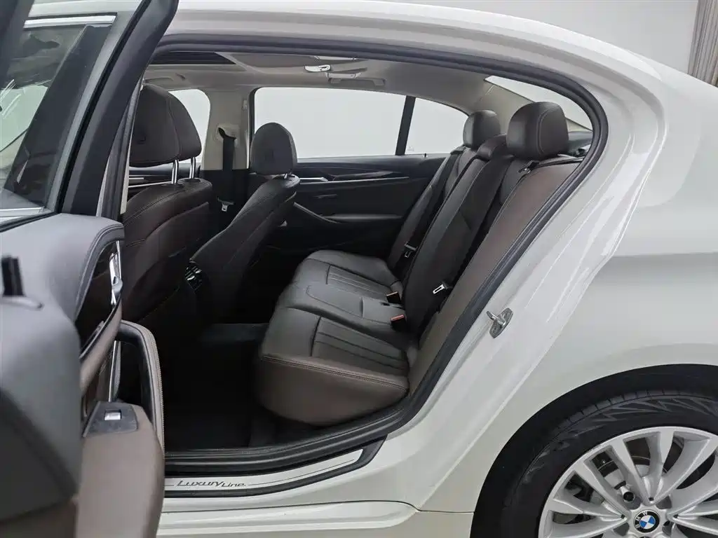 BMW 5 Series 2019 525Li Luxury Package фото 15