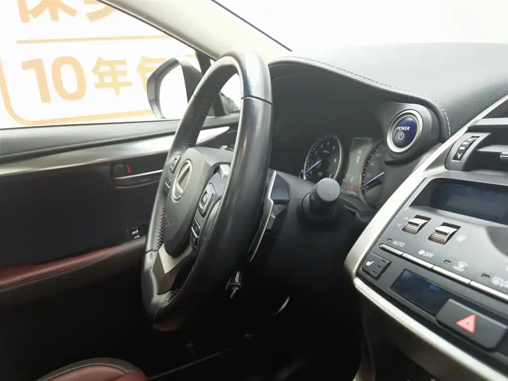 Lexus NX 2018 Model 300h FWD Fengshang Edition China V фото 22