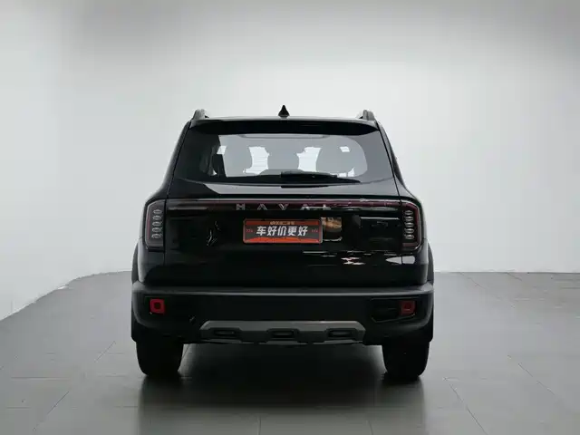 Haval Big Dog 2024 1.5T DCT Border Collie Edition — фото 4