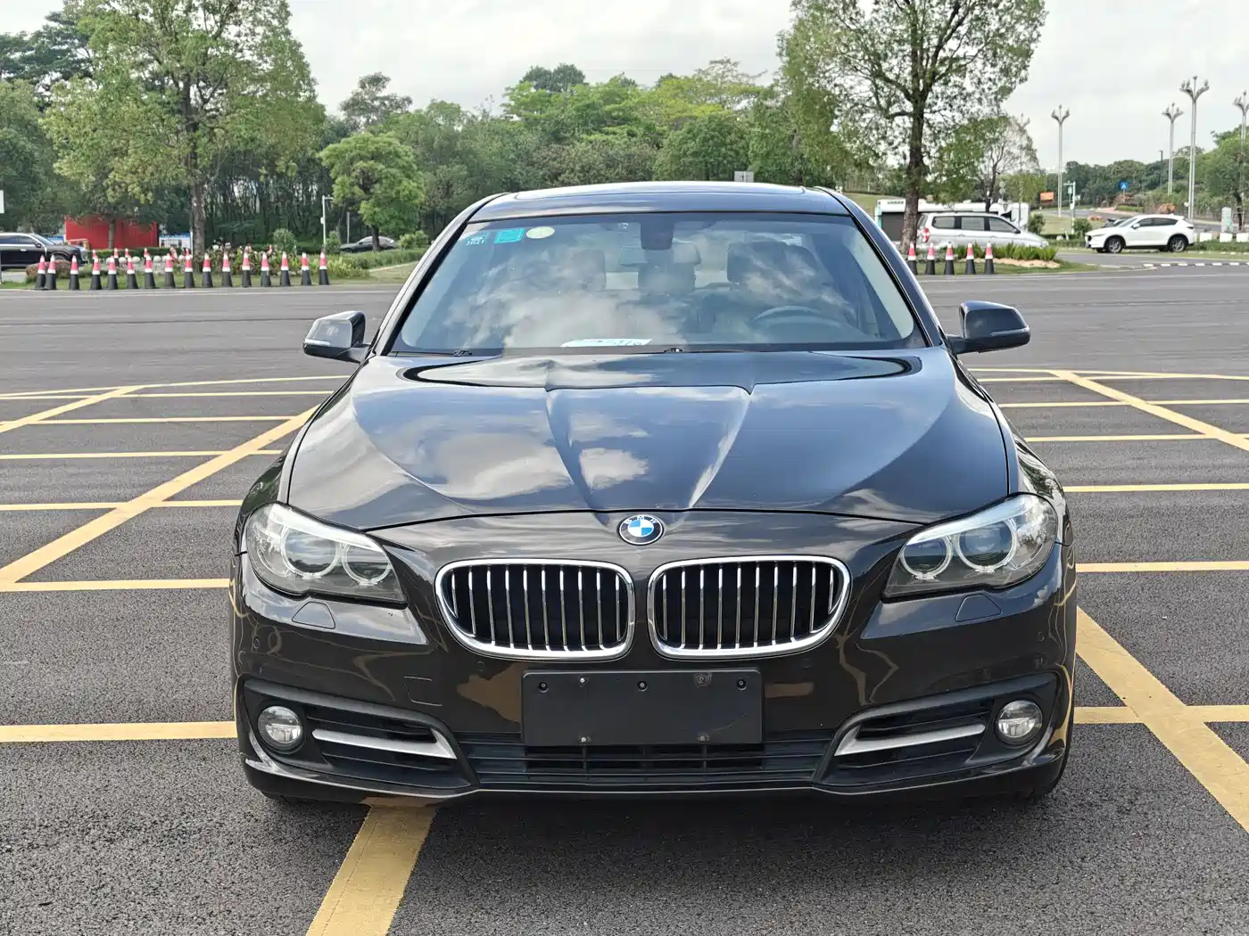 BMW 5 Series 2014 525Li Leading фото 2