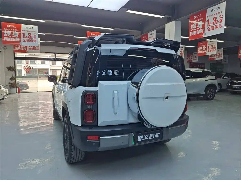 HAVAL RAPTORS NEW ENERGY