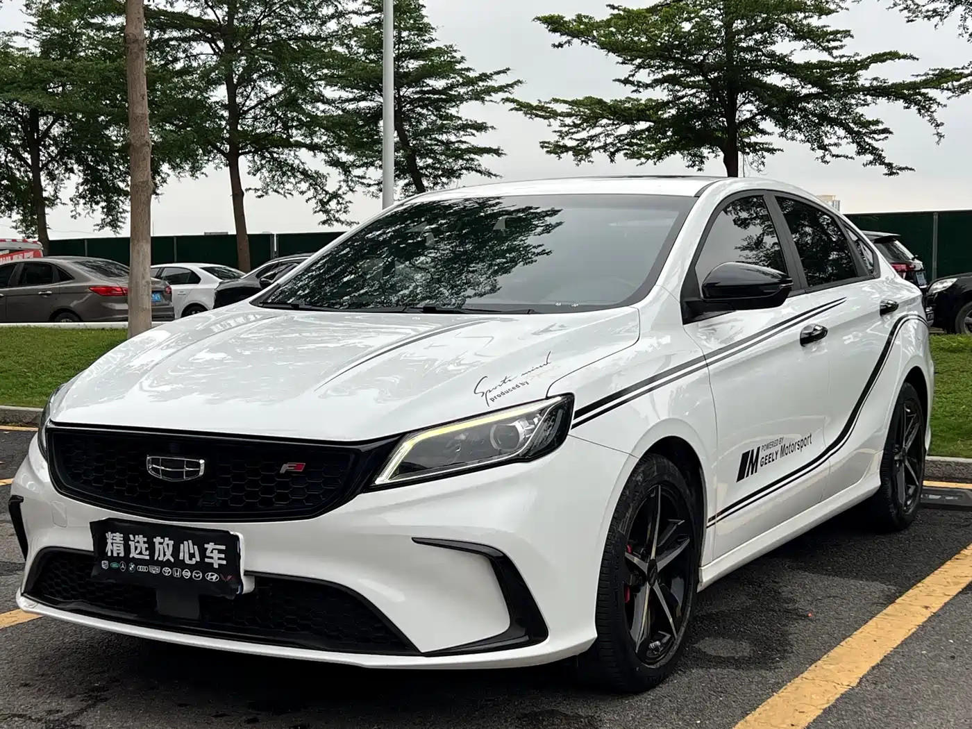 GEELY AUTOMOBILE BINRUI