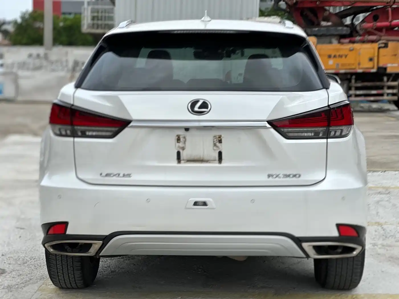 LEXUS RX