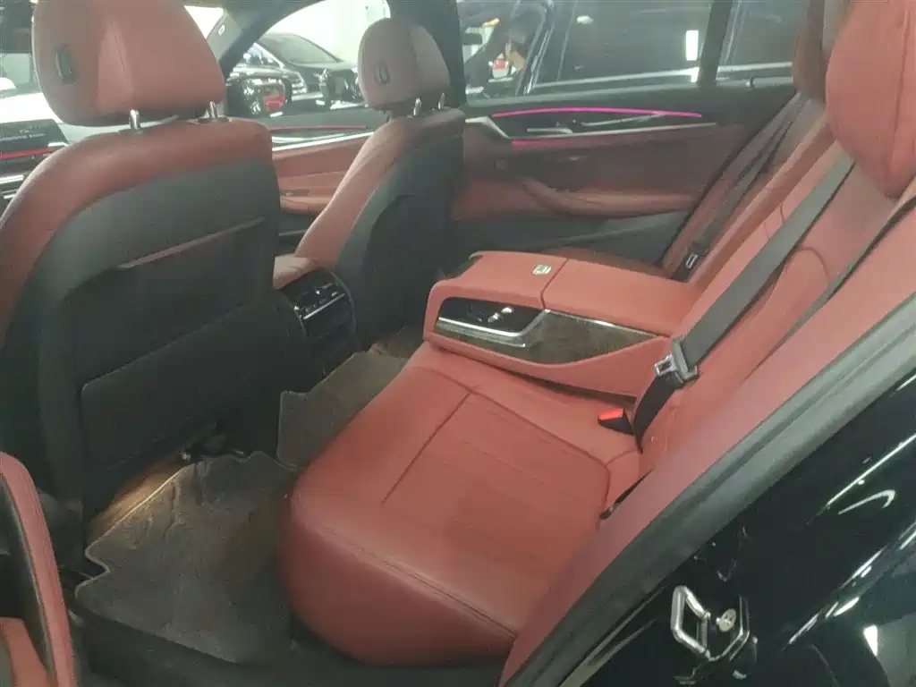 BMW 5 Series 2019 530Li Leading M Sport Package фото 17