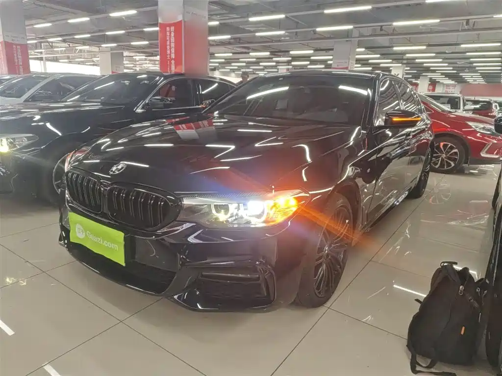 BMW 5 Series 2019 530Li Leading M Sport Package