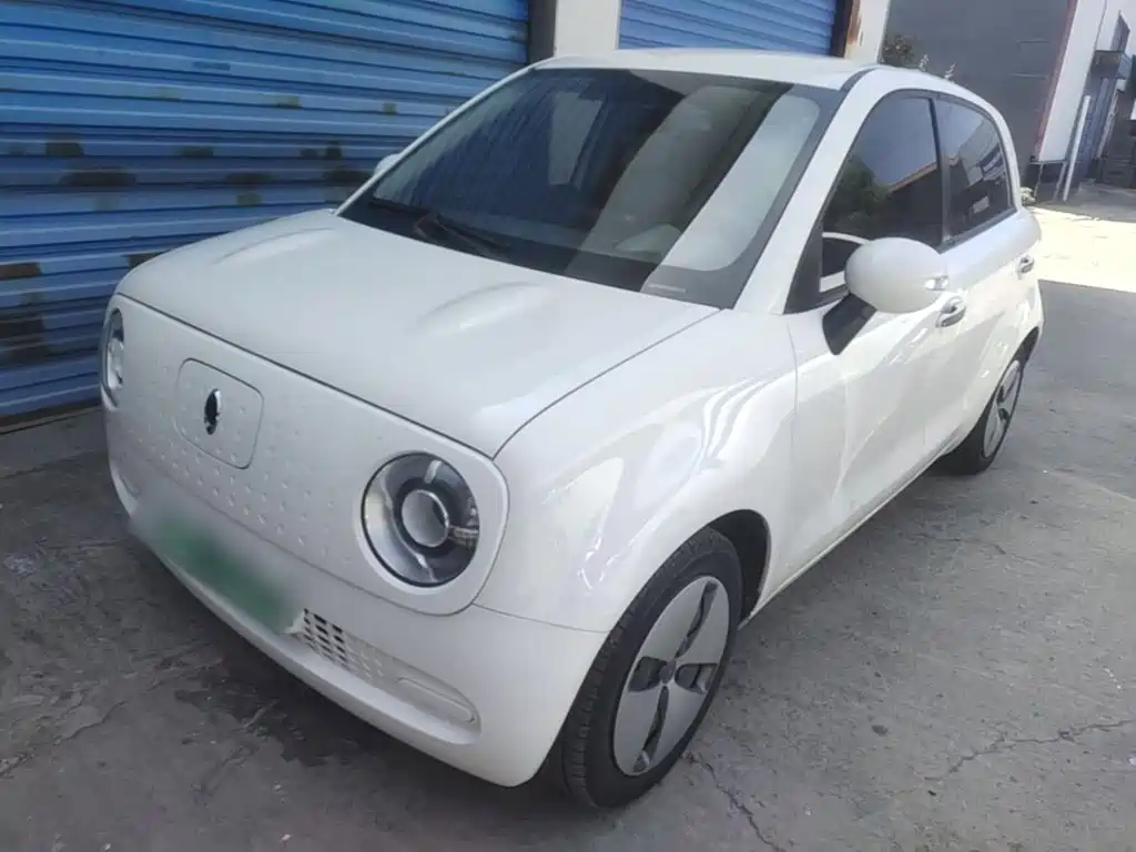 Ora Black Cat 2019 2019 Model 351km Smart Fun Edition