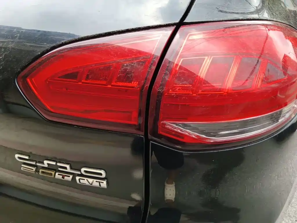 Photo 8 - Leopaard CS10