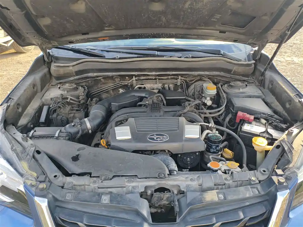 Subaru Forester 2018 2.5i Premium Navigation Edition EyeSight фото 16