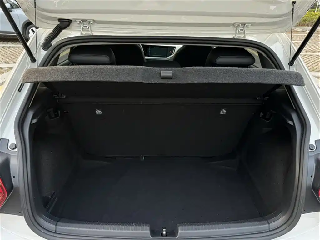 Volkswagen Polo 2021 Plus 1.5L Automatic Colorful Tech Edition фото 10