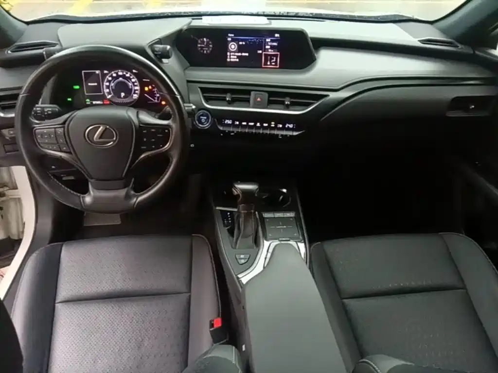 Фото 10 - Lexus UX