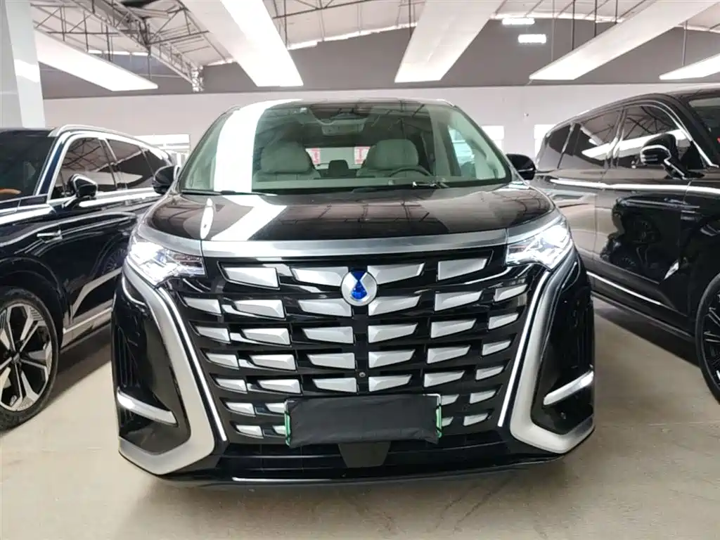Denza D9 2022 DM-i 970 AWD Flagship фото 3