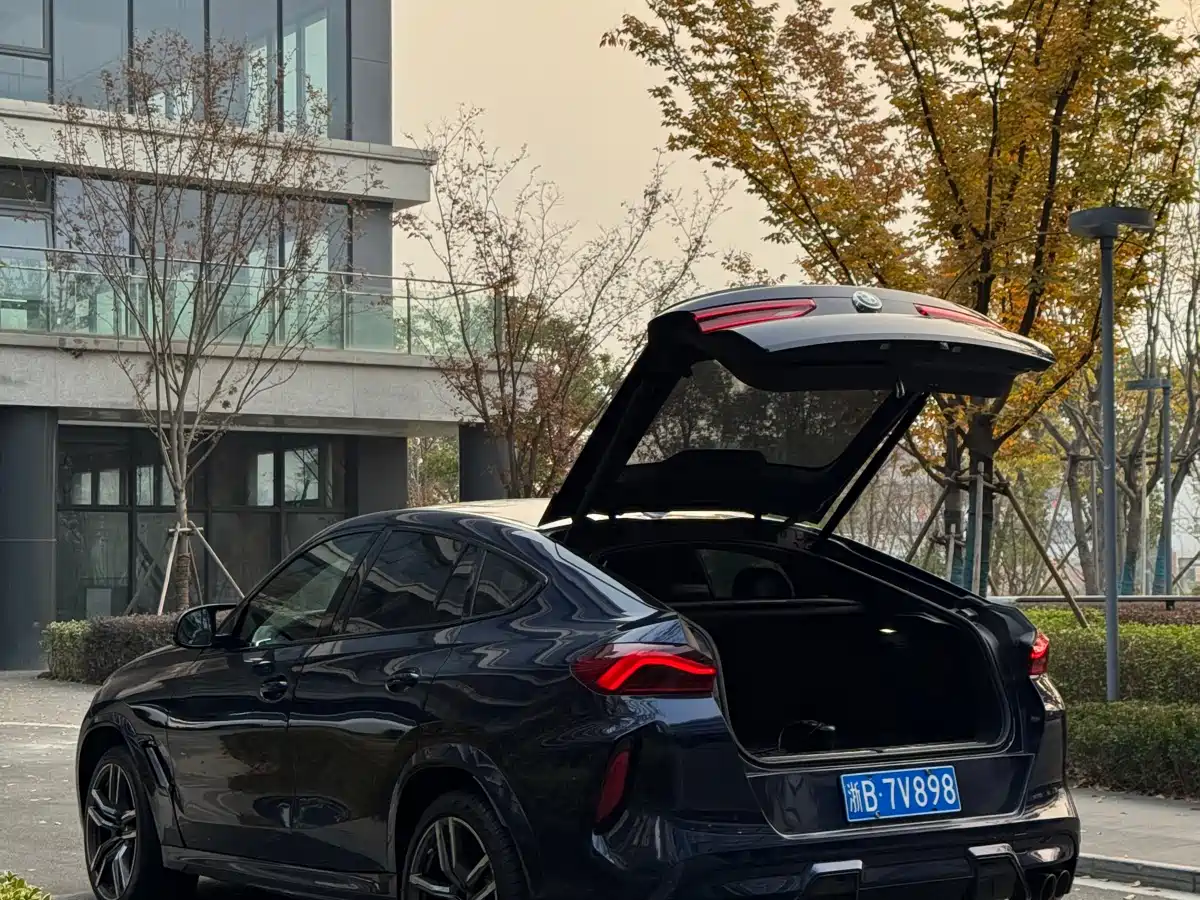 BMW X6M