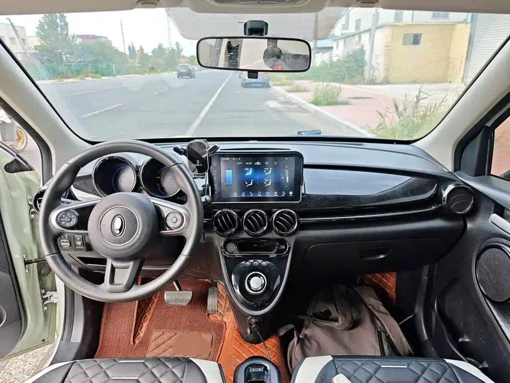 Ora Black Cat 2022 2022 Facelift 301km Pet Edition LFP Version