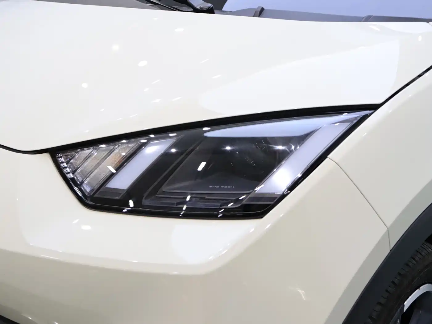 BYD Seagull 2023 Freedom Edition фото 10