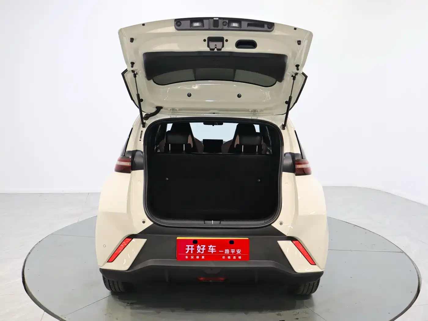 BYD Seagull 2023 Freedom Edition фото 7
