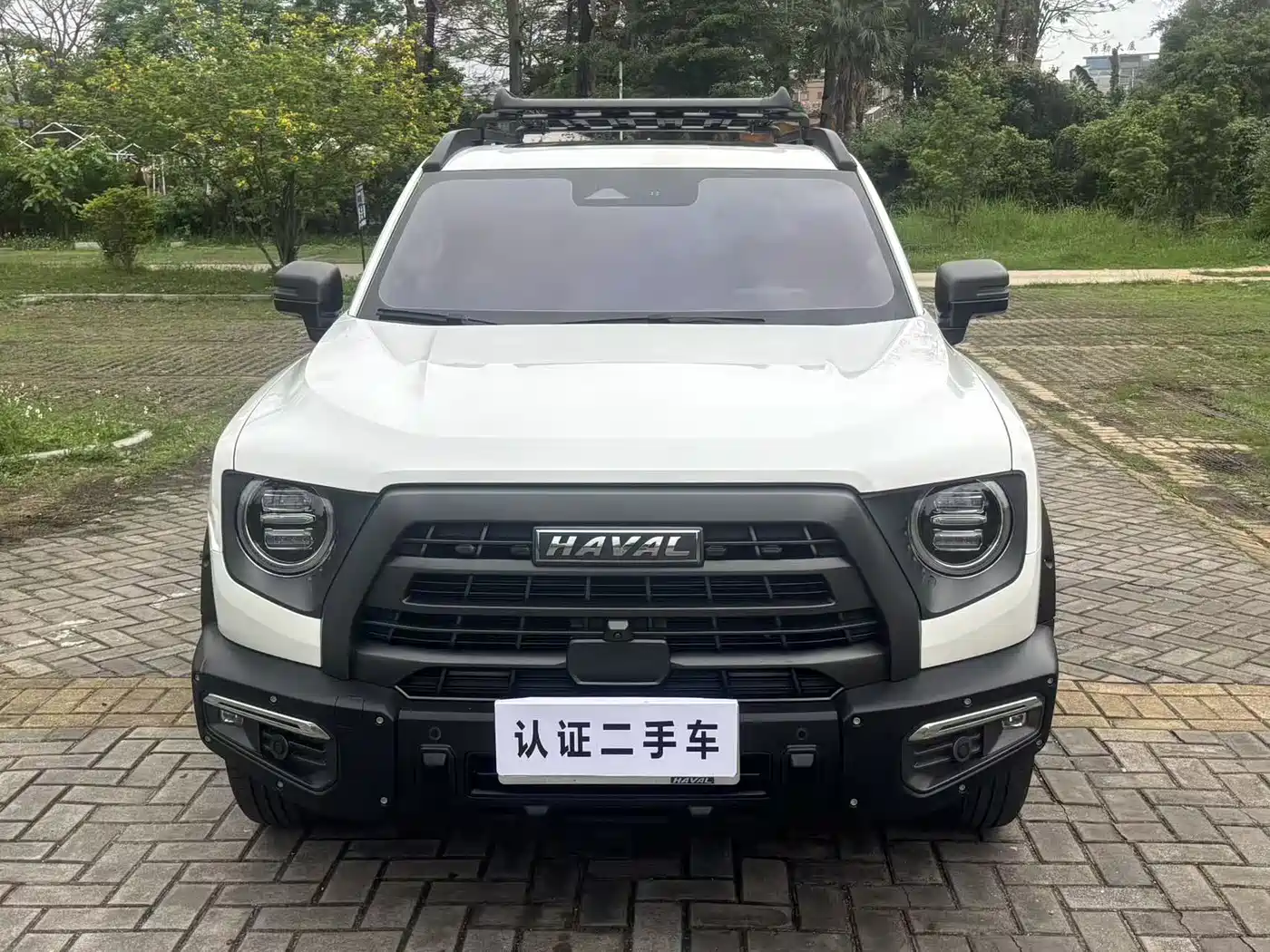 HAVAL BIG DOG