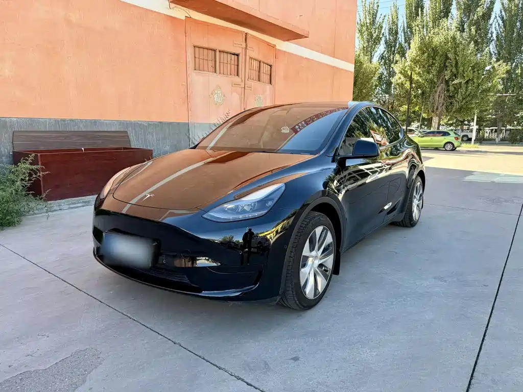 Фото 1 - Tesla Model Y