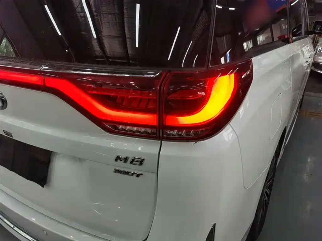 GAC Trumpchi Trumpchi M8 2021 Leading Show Series 390T Ultimate Edition фото 8
