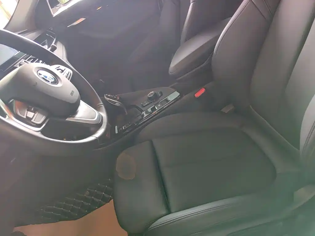 BMW X2 (Import) 2019 2019 sDrive20i M Off-Road Package China VI