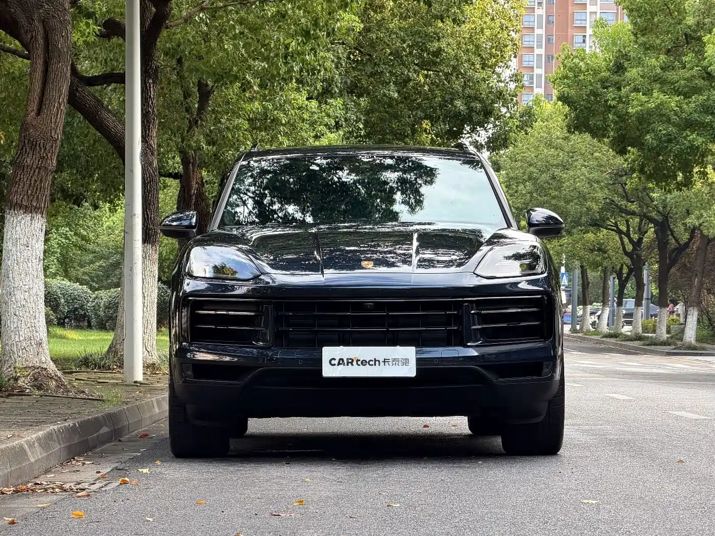 Porsche Cayenne 2025 2025 Cayenne 3.0T Dream Chaser Edition
