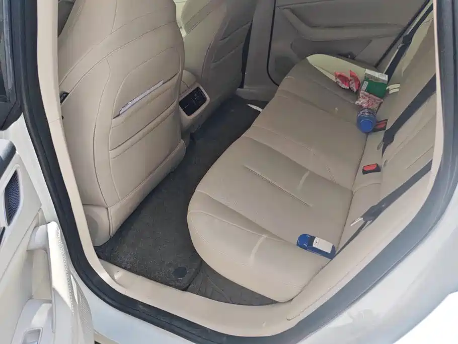 Dongfeng Fengxing Stellar S7 2025 2024 555 Luxury Edition