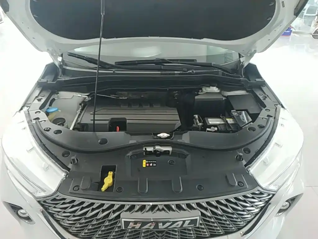 Photo 20 - Haval M6