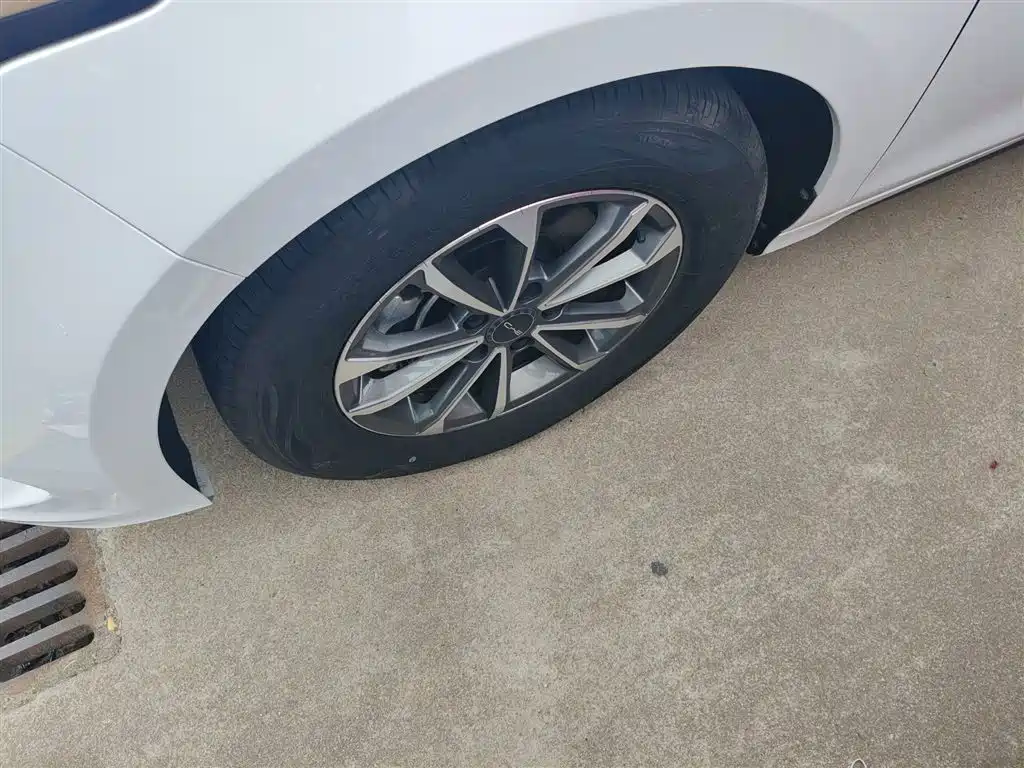 BYD Destroyer 05 2024 Glory Edition DM-i 55KM Luxury фото 23