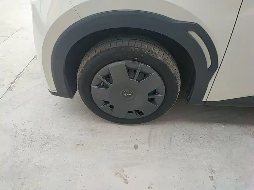 BYD Seagull 2025 2025 305km Vitality