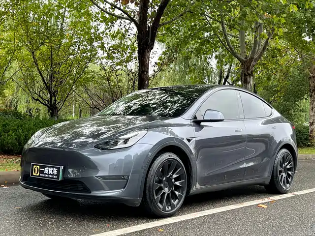 tesla model-y