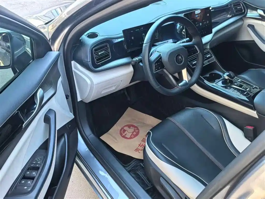 BYD Qin PLUS 2021 DM-i 120KM Premium фото 5