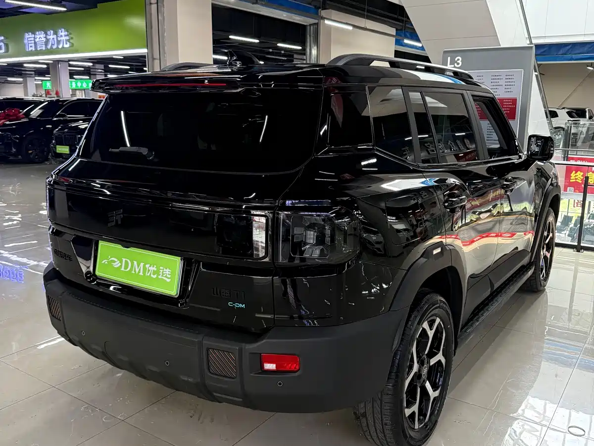 Jetour Shanhai Jetour Shanhai T1 2025 Model Year 150km Explorer 9