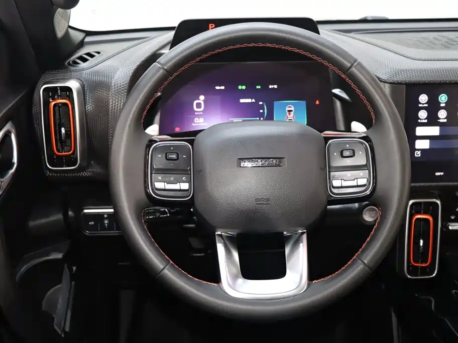 HAVAL BIG DOG