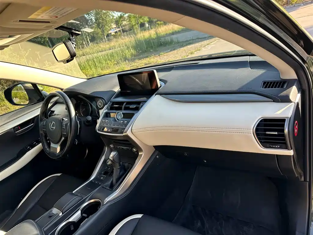 Lexus NX 2020 200 FWD Fengyi Edition China VI фото 18
