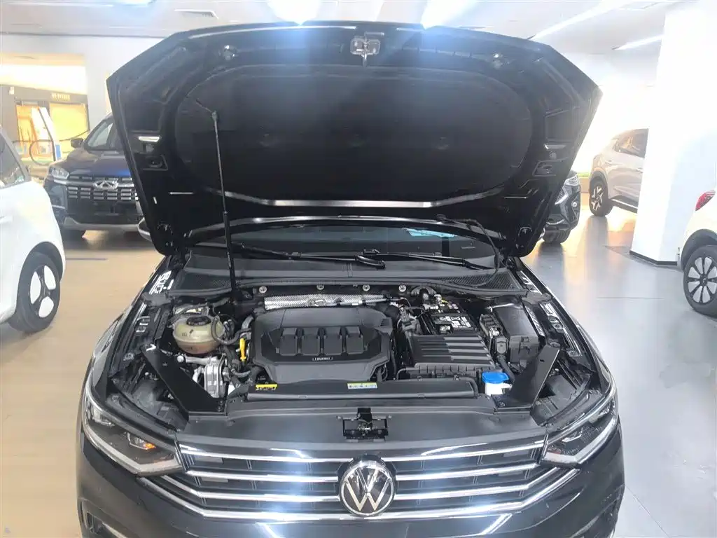 Volkswagen Magotan 2020 330TSI DSG Luxury фото 20